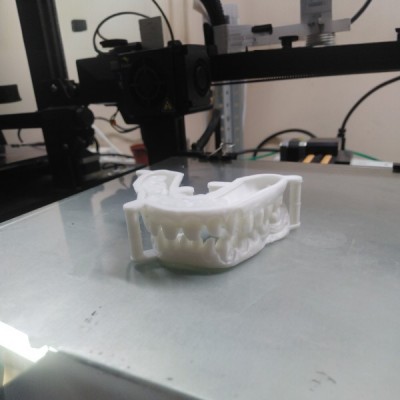 Челюсти для стоматологии №1 Челюсти для стоматологии №1