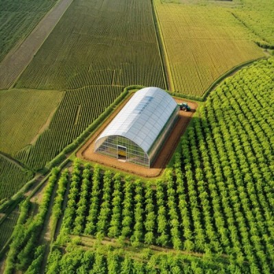 Теплицы Фермерские от 6 до10 метров шириной.